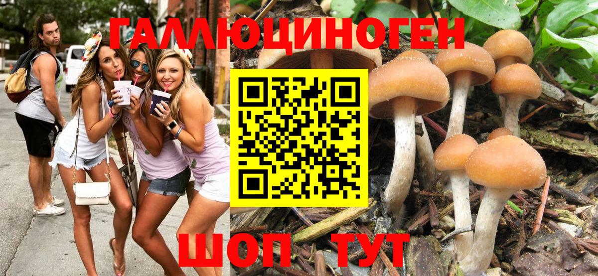 Галлюциногенные грибы MAGIC MUSHROOMS  Псилоцибиновые грибы MAGIC MUSHROOMS  Электрогорск  купить   Вход с VPN 